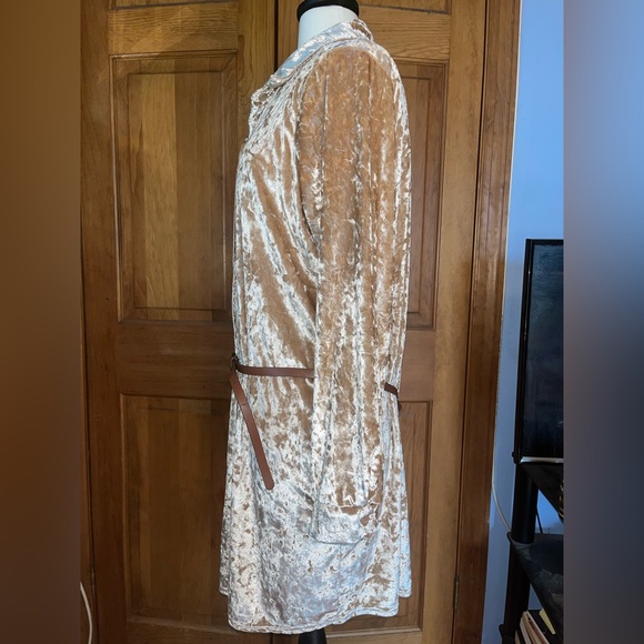 Gold Dress with Belt - Picture 5 of 7